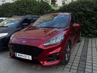 Gebraucht Ford Kuga ST-Line X 150 PS (110 kW) 2021 Rot SUV
