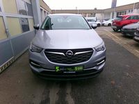 Gebraucht Opel Grandland X Edition 131 PS (96 kW) 2019 SUV