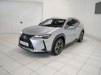 gebraucht Lexus UX 250h Style Edition 1.4kWh Aut. FLA KAM