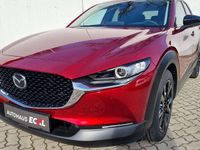 Neu Mazda CX-30 Homura-Line 140 PS (102 kW) 2025 Rot SUV