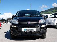 gebraucht Fiat Panda 0.9 TA 80 NAT. POWER EASY