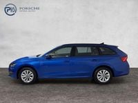 Gebraucht Skoda Octavia Selection 150 PS (110 kW) 2025 Mittelblau  metallic Kombi