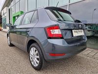 Gebraucht Skoda Fabia Cool Plus 75 PS (55 kW) 2019 Grau Kleinwagen