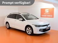 Gebraucht VW Golf VIII Life 116 PS (85 kW) 2024 Weiss  normal Kombi