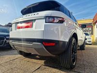 gebraucht Land Rover Range Rover evoque Pure 2,2 eD4