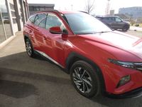 Gebraucht Hyundai Tucson 116 PS (85 kW) 2021 Rot SUV