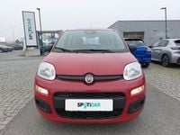 Neu Fiat Panda 69 PS (50 kW) 2025 Rot Limousine