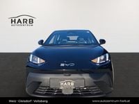 Neu BYD Dolphin Surf Boost 64 kW (88 PS) 2026 Kleinwagen