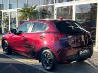 gebraucht Mazda 2 G75 Takumi NAVI RKam Shz PTS