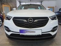 Gebraucht Opel Grandland X Edition 131 PS (96 kW) 2020 Weiß SUV