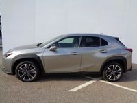 gebraucht Lexus UX 250h Style Edition 1.4kWh Aut.