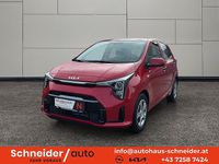 Neu Kia Picanto 68 PS (50 kW) 2026 Kleinwagen