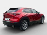 gebraucht Mazda CX-30 /X180/AWD/AT/GT+/Sound/Premium/Tech