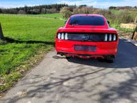 gebraucht Ford Mustang GT Mustang 50 Ti-VCT V8 GT Aut.