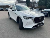 gebraucht Mazda CX-60 3.3L e-SKYACTIV D EXC-LINE CON/DRI/PAN Aut. Exc...