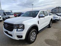Neu Ford Ranger XLT 280 PS (205 kW) 2026 Abholung