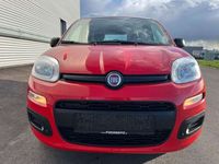 gebraucht Fiat Panda 1,2 70 Easy ID:93