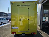 gebraucht Renault Master Dickenherr Pferdetransporter