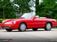 gebraucht Alfa Romeo Spider in gutem Zustand zu erwerben