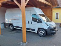 Gebraucht Fiat Ducato 160 PS (117 kW) 2020 Weiß Van