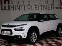 Gebraucht Citroën C4 Cactus 102 PS (75 kW) 2019 Weiß Kleinwagen