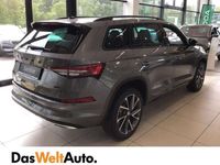 gebraucht Skoda Kodiaq 4x4 Sportline TDI DSG