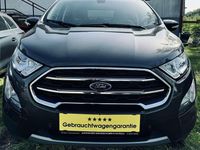 Gebraucht Ford Ecosport Titanium 101 PS (74 kW) 2019 Grau SUV