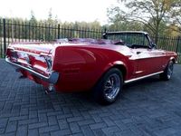 gebraucht Ford Mustang Wunderschön:Convertible wenig gelaufen