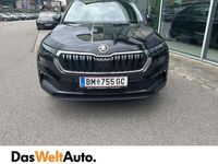 gebraucht Skoda Karoq 4x4 Ambition TDI DSG