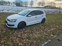 gebraucht VW Polo 1.6 TDI 75 Euro 5
