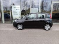 gebraucht Fiat Panda Cross Sonstige Pandina FireFly Hybrid 70