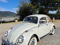 gebraucht VW Käfer 1300 Typ 11 Luxus guter Zustand mit gültigem Pickerl