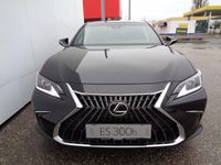 gebraucht Lexus ES300H Business Line Aut.