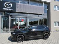 Neu Mazda CX-30 Nagisa 140 PS (102 kW) 2026 SUV