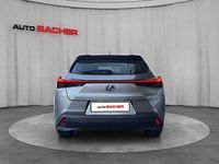 gebraucht Lexus UX 250h E-four Luxury Line 14kWh Aut.