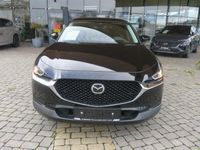 gebraucht Mazda CX-30 G150 Homura Aut.