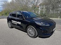 gebraucht Ford Kuga 2,0 EcoBlue Hybrid ST-Line X Aut.