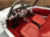 gebraucht Alfa Romeo Giulia Spider | Umfangreich restauriert | Sehr guter Zustand | 1964