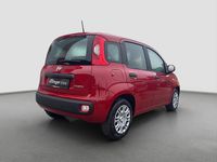 gebraucht Fiat Panda Panda