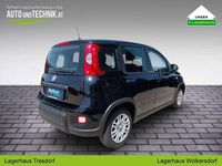 gebraucht Fiat Panda PT70