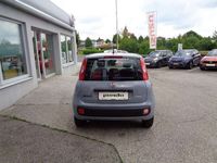 gebraucht Fiat Panda 1,0 FireFly Hybrid 70 Hybrid