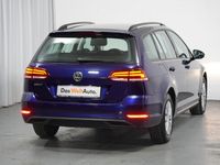 gebraucht VW Golf VII 