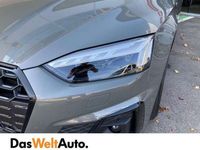 gebraucht Audi S5 TDI