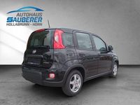 gebraucht Fiat Panda Panda 10 Hybrid I KLIMA