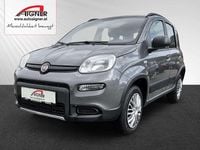 Gebraucht Fiat Panda 4x4 Wild 86 PS (63 kW) 2020 Grau Kleinwagen