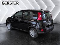 gebraucht Fiat Panda 4x2 FireFly Hybrid 70 Pandina