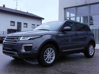 gebraucht Land Rover Range Rover evoque Pure 20 TD4 Aut.