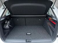 gebraucht Skoda Kamiq Selection TSI