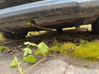 Gebraucht Hyundai Lavita 111 PS (81 kW) 2007 Van / Kleinbus