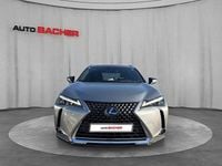 gebraucht Lexus UX 250h E-four Luxury Line 14kWh Aut.